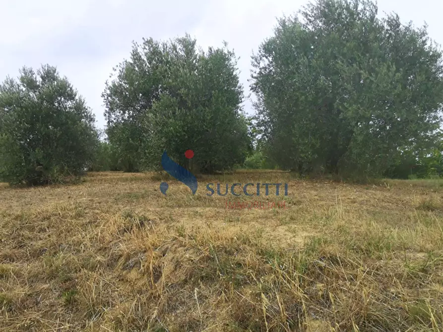 Immagine 31 di Casa indipendente in vendita  in Strada Provinciale 262 a Mosciano Sant'angelo