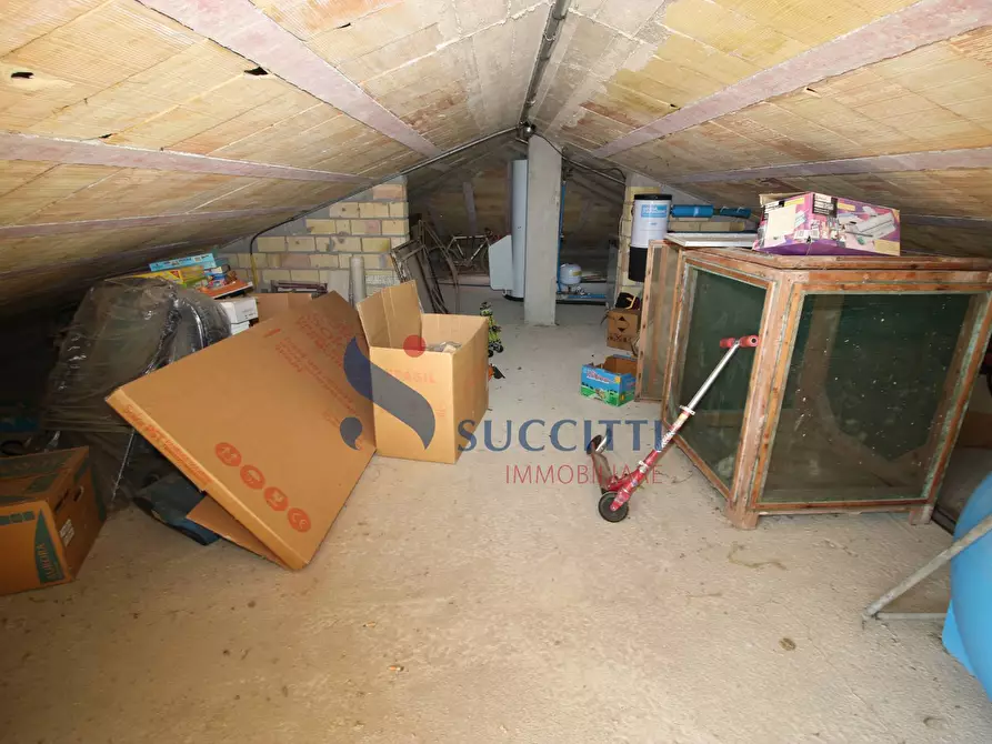 Immagine 60 di Casa indipendente in vendita  in Via Indipendenza a Monteprandone