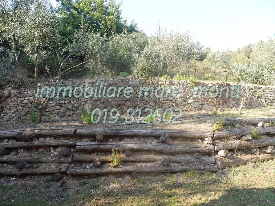 Immagine 23 di Villa in vendita  in via laiolo a Bergeggi