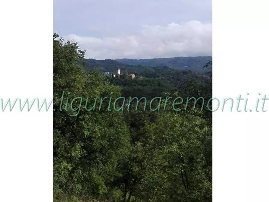 Immagine 11 di Villetta a schiera in vendita  in via paolo cappa 8 a Dego