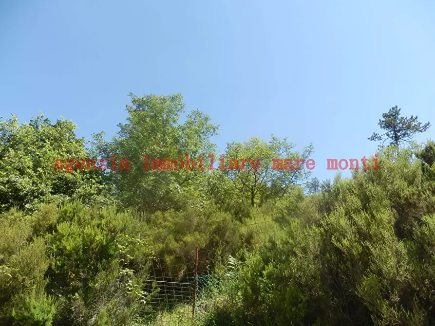 Immagine 41 di Casa indipendente in vendita  in via cravassa 7 a Varazze