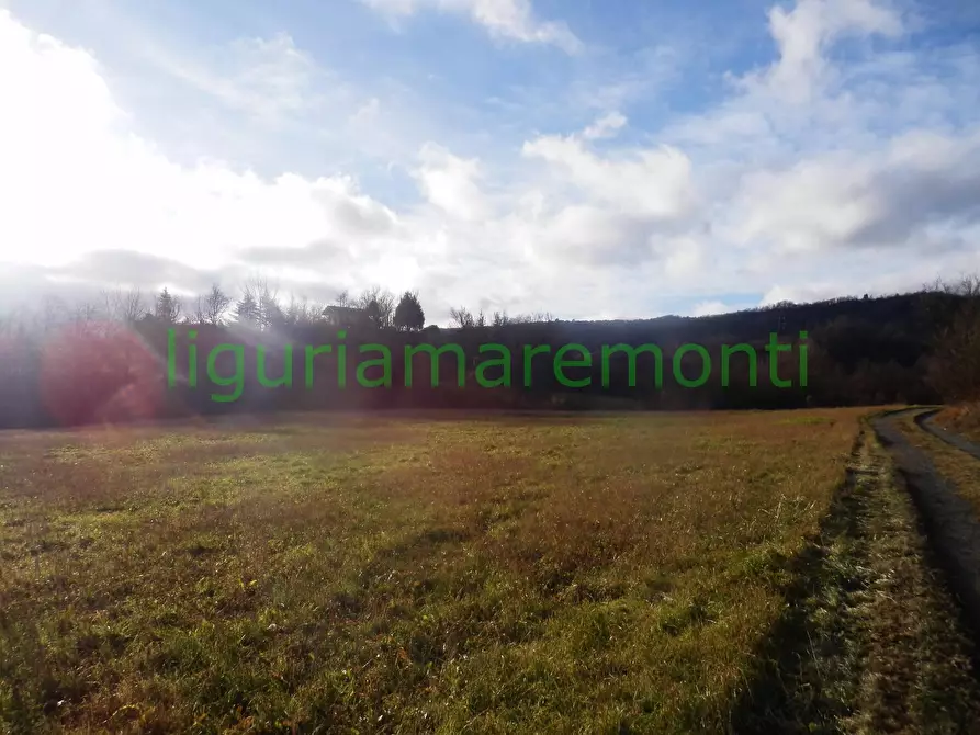 Immagine 9 di Rustico / casale in vendita  in loc vigna a Mioglia