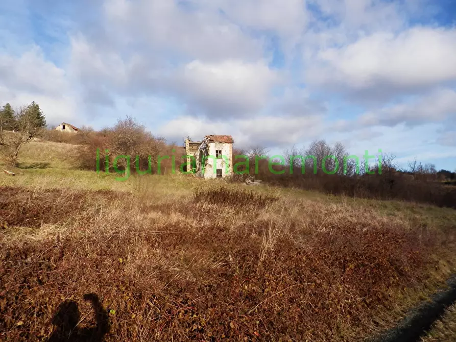 Immagine 10 di Rustico / casale in vendita  in loc vigna a Mioglia