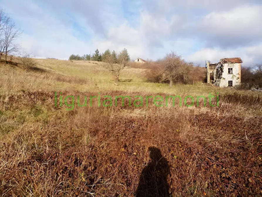 Immagine 11 di Rustico / casale in vendita  in loc vigna a Mioglia