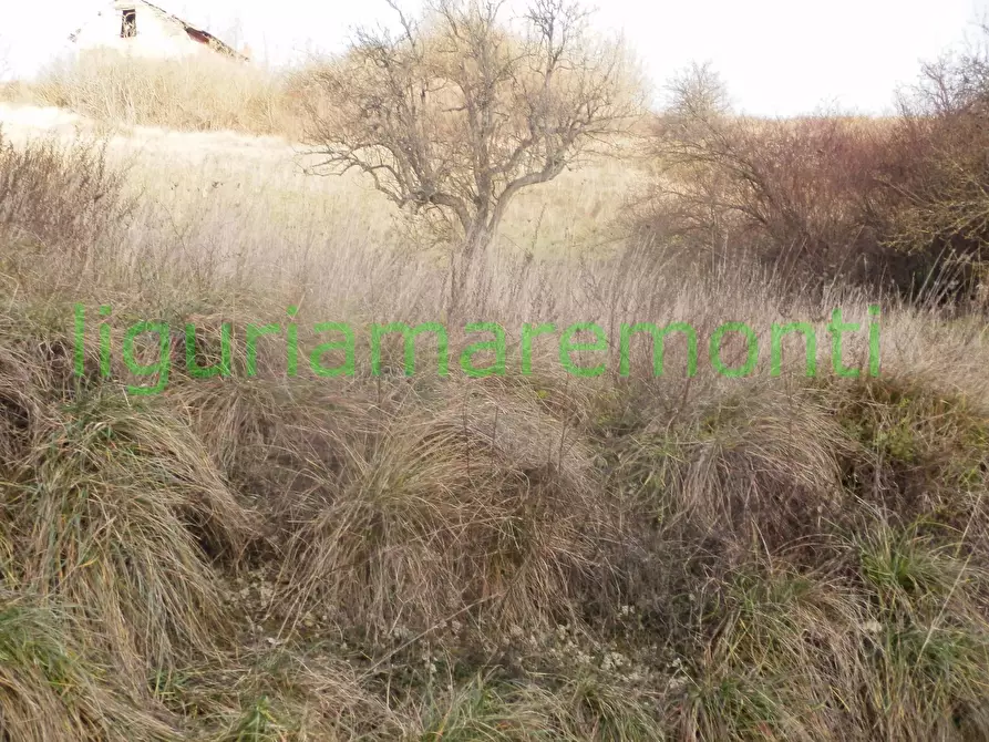 Immagine 13 di Rustico / casale in vendita  in loc vigna a Mioglia