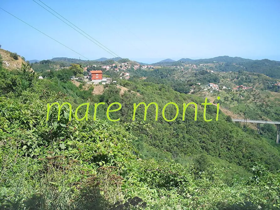 Immagine 2 di Appartamento in vendita  in via longagnini a Quiliano