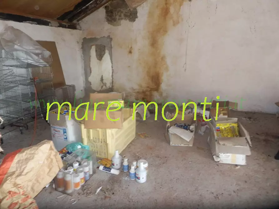 Immagine 49 di Casa indipendente in vendita  in via san bartolomeo del bosco a Savona