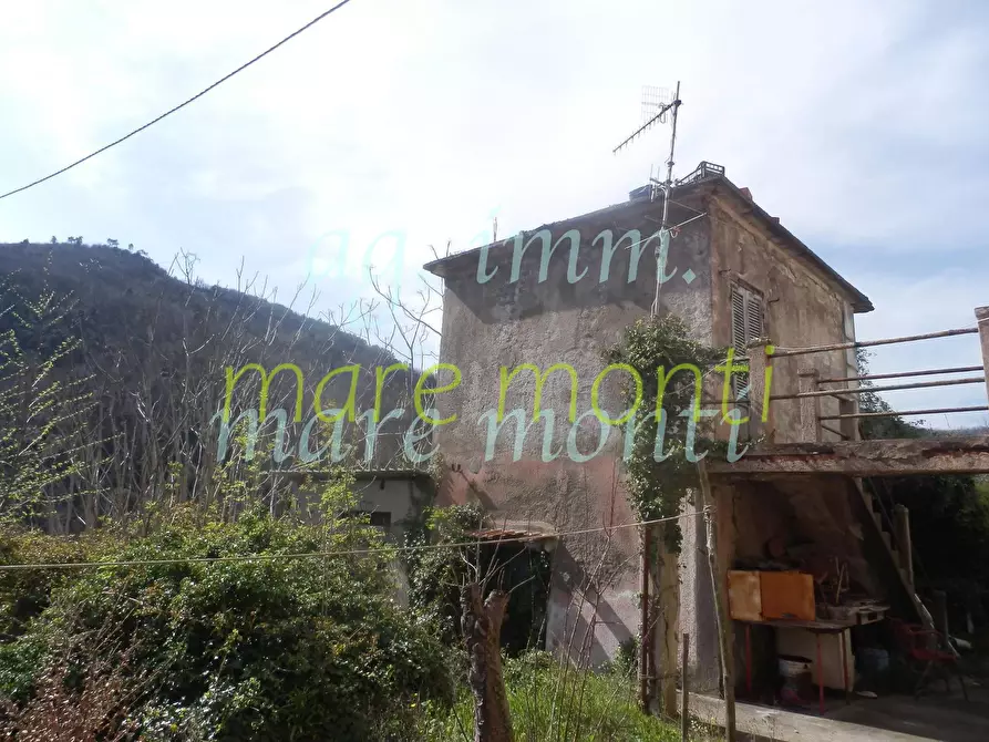 Immagine 5 di Villetta a schiera in vendita  in maschio stazione a Savona