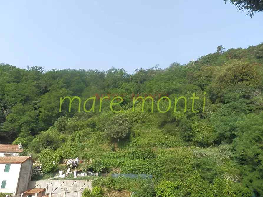 Immagine 43 di Villetta a schiera in vendita  in via santuario a Savona