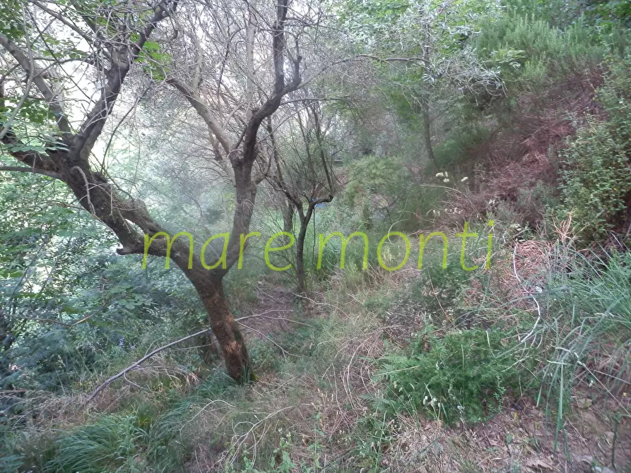 Immagine 48 di Villetta a schiera in vendita  in via santuario a Savona