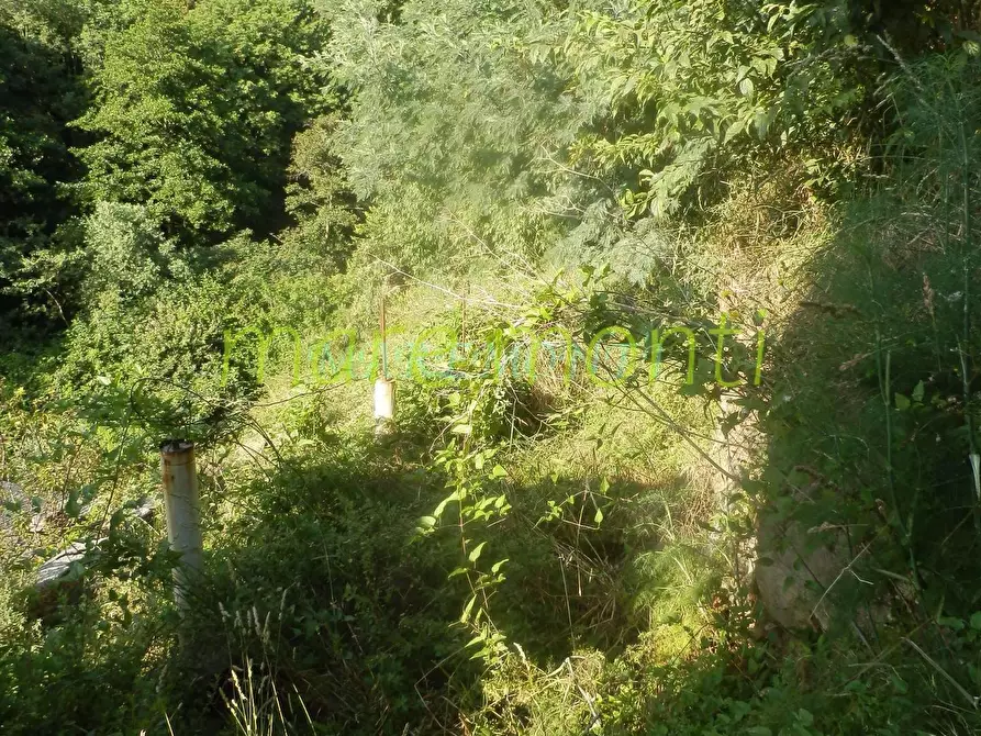 Immagine 11 di Casa indipendente in vendita  in via xxv aprile a Quiliano