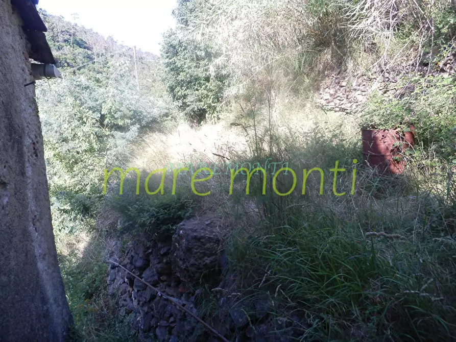 Immagine 12 di Casa indipendente in vendita  in via xxv aprile a Quiliano