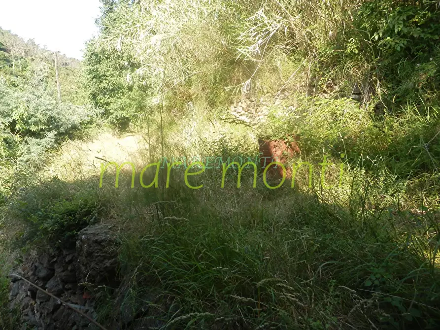 Immagine 16 di Casa indipendente in vendita  in via xxv aprile a Quiliano
