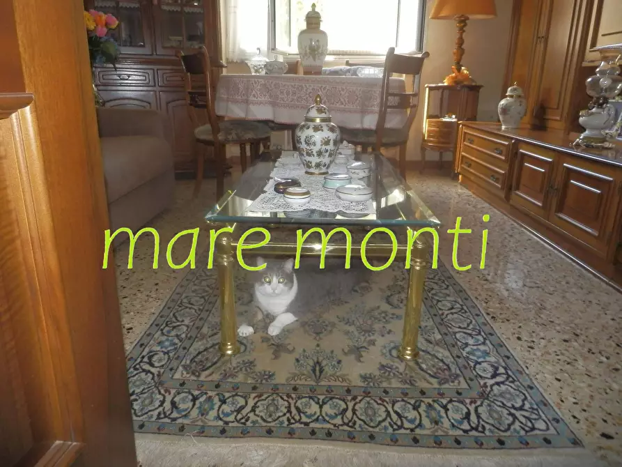 Immagine 4 di Appartamento in vendita  in via stalingrado 25 a Savona