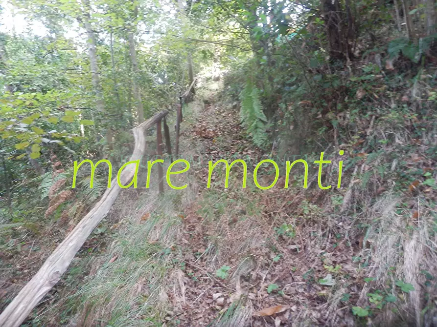 Immagine 4 di Terreno agricolo in vendita  in via cimavalle a Savona