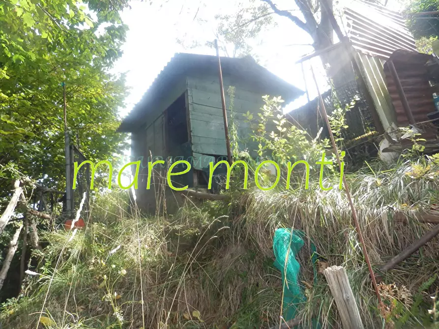 casa indipendente in vendita a Savona in zona Cimavalle / Botta