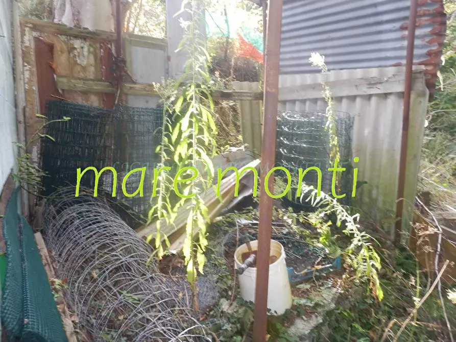 Immagine 8 di Terreno agricolo in vendita  in via cimavalle a Savona