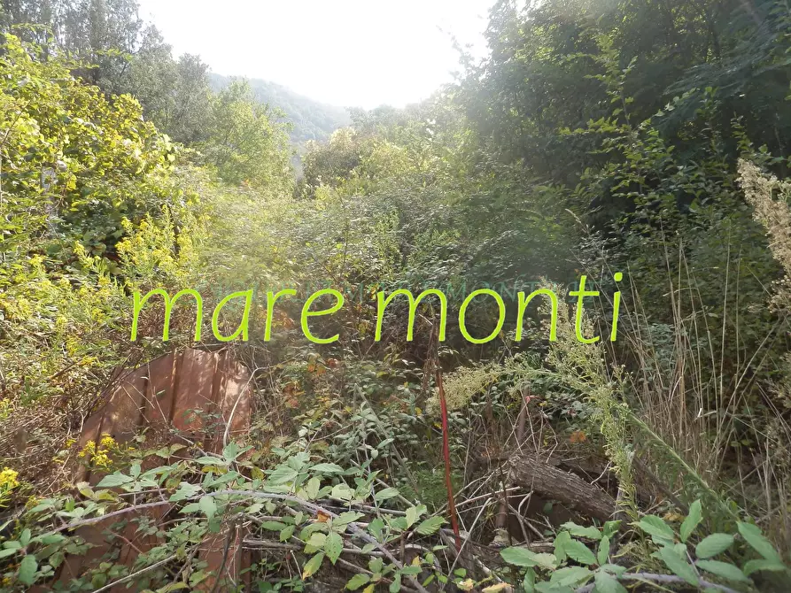 Immagine 11 di Terreno agricolo in vendita  in via cimavalle a Savona