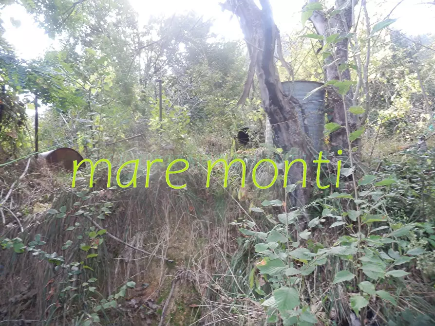 Immagine 15 di Terreno agricolo in vendita  in via cimavalle a Savona