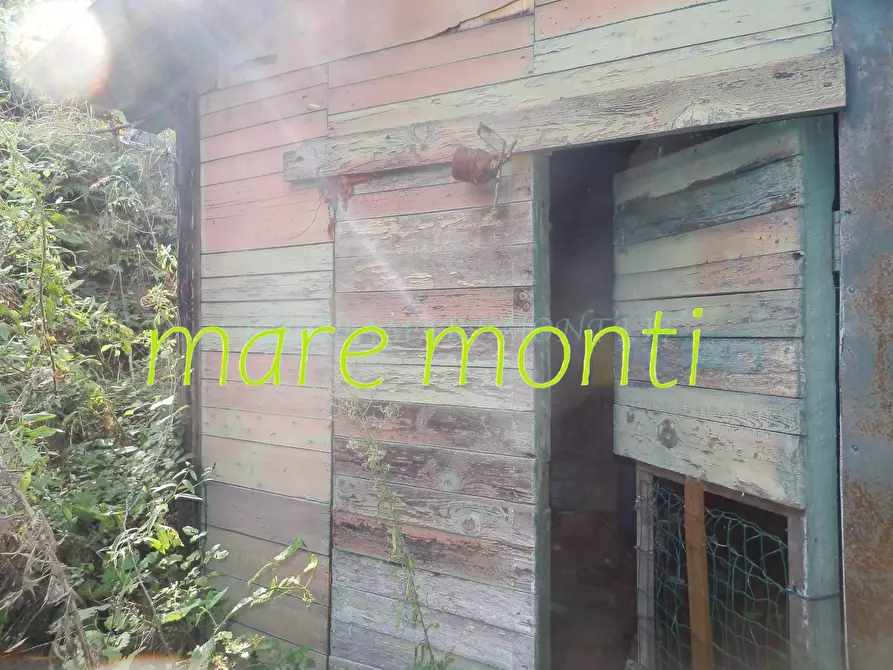 Immagine 17 di Terreno agricolo in vendita  in via cimavalle a Savona