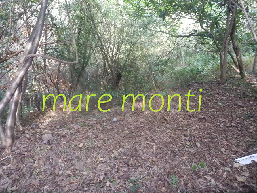 Immagine 21 di Terreno agricolo in vendita  in via cimavalle a Savona