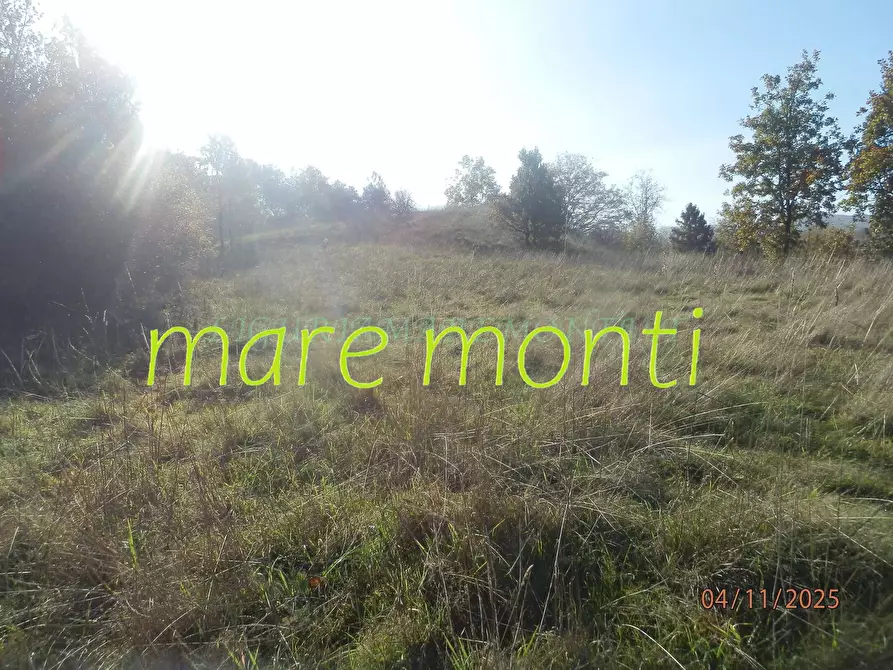 Immagine 32 di Villetta a schiera in vendita  in località veracurta a Giusvalla