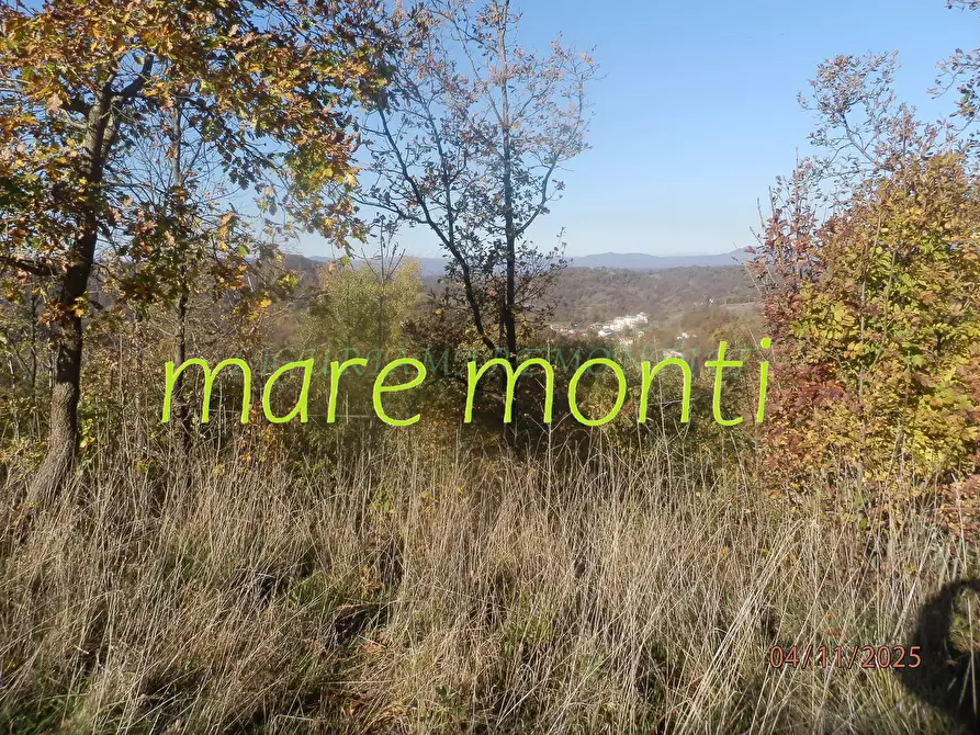 Immagine 33 di Villetta a schiera in vendita  in località veracurta a Giusvalla