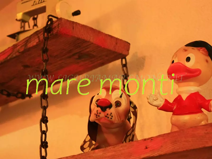 Immagine 25 di Appartamento in vendita  in via untoria a Savona