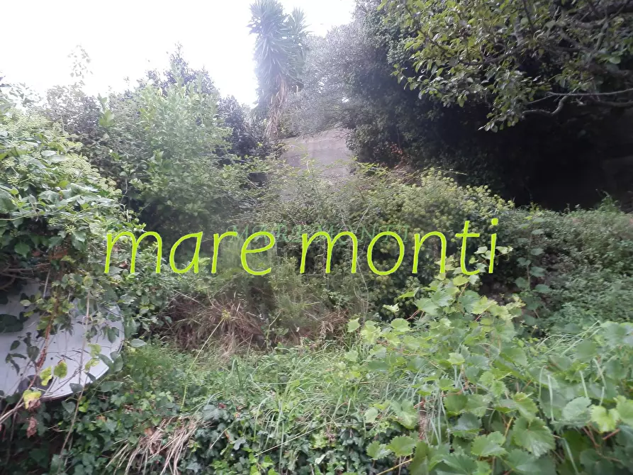 Immagine 27 di Appartamento in vendita  in via marmorassi a Savona