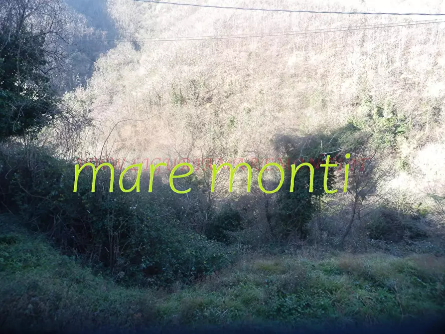 Immagine 5 di Rustico / casale in vendita  in località cerisole a Albisola Superiore