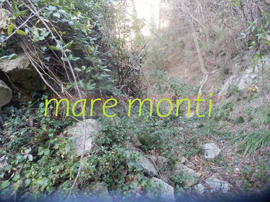 Immagine 7 di Rustico / casale in vendita  in località cerisole a Albisola Superiore