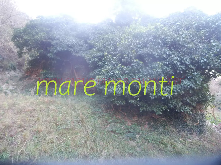 Immagine 9 di Rustico / casale in vendita  in località cerisole a Albisola Superiore