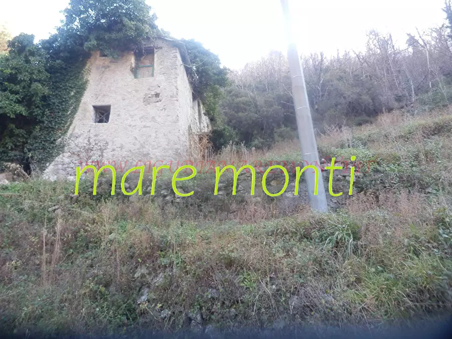 Immagine 11 di Rustico / casale in vendita  in località cerisole a Albisola Superiore