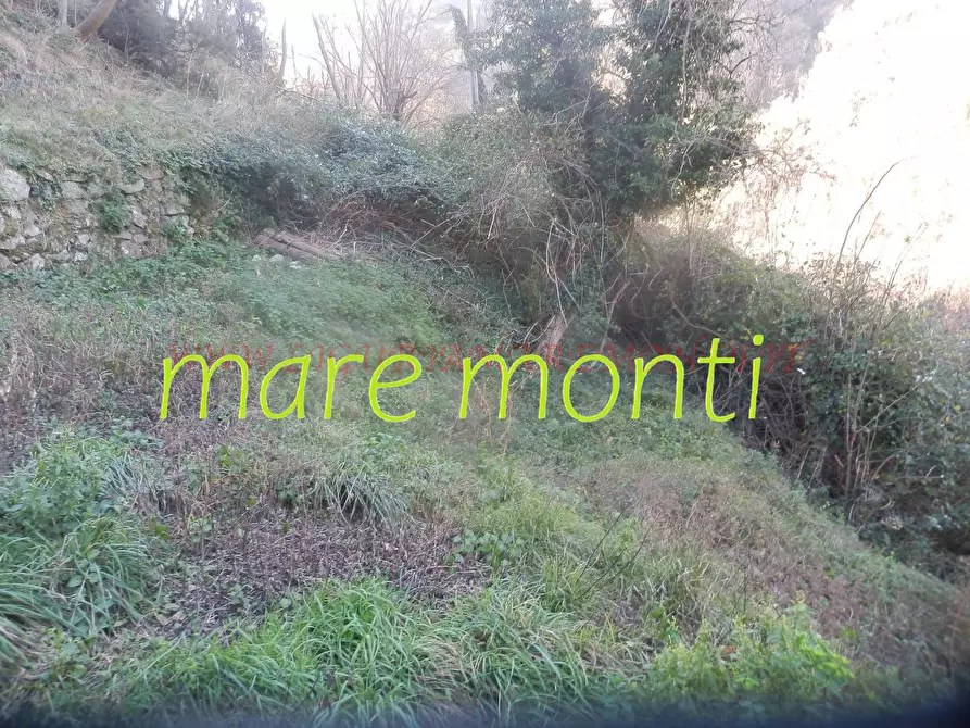 Immagine 13 di Rustico / casale in vendita  in località cerisole a Albisola Superiore