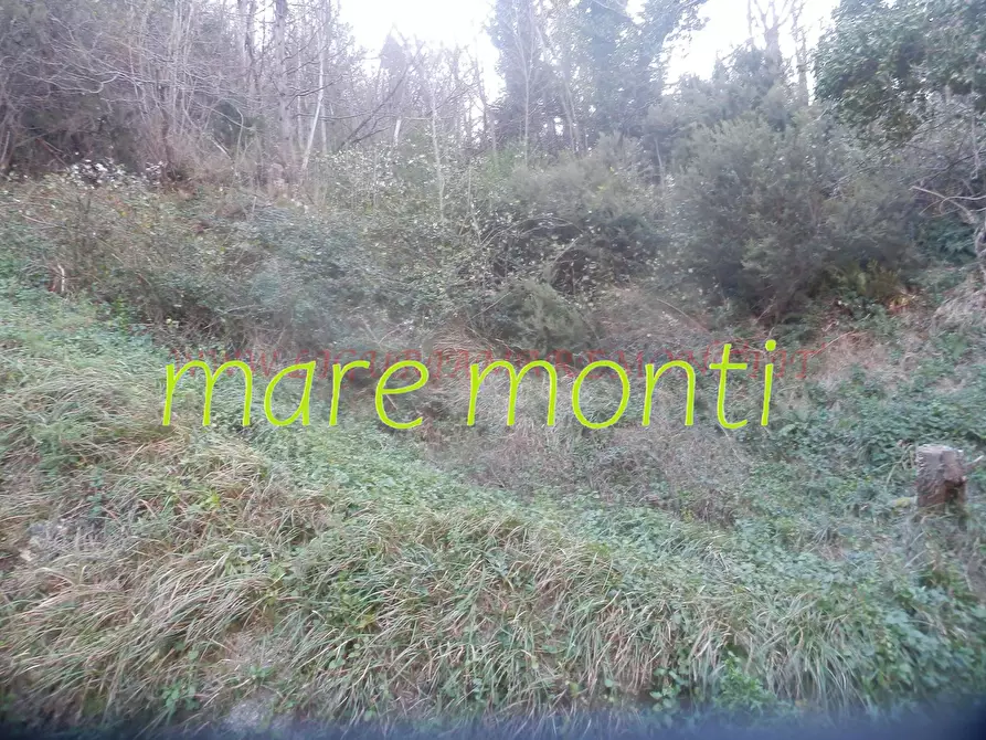 Immagine 14 di Rustico / casale in vendita  in località cerisole a Albisola Superiore