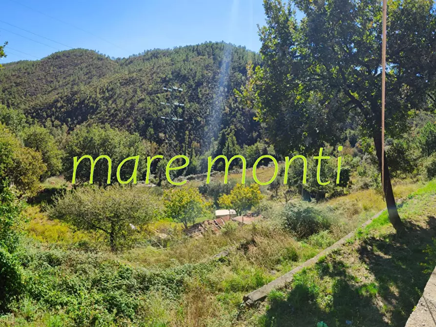 Immagine 4 di Casa indipendente in vendita  in località san giacomo a Varazze