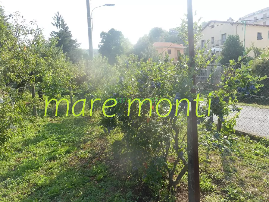 Immagine 65 di Appartamento in vendita  in via rinchiuso a Carcare