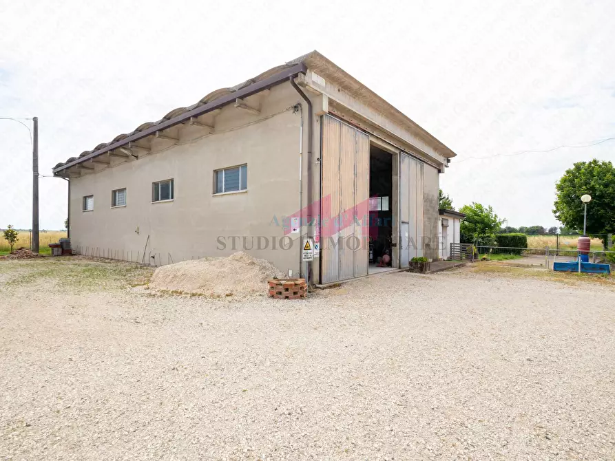 Immagine 3 di Magazzino in vendita  in via Calto a Calto