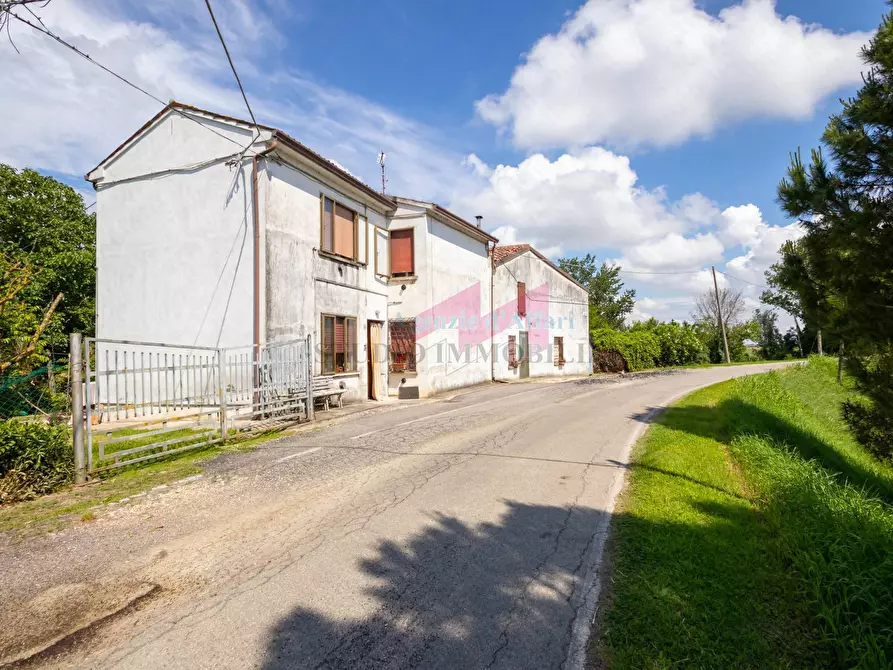 Immagine 1 di Casa indipendente in vendita  in Via Argine Po 4837 a Bergantino