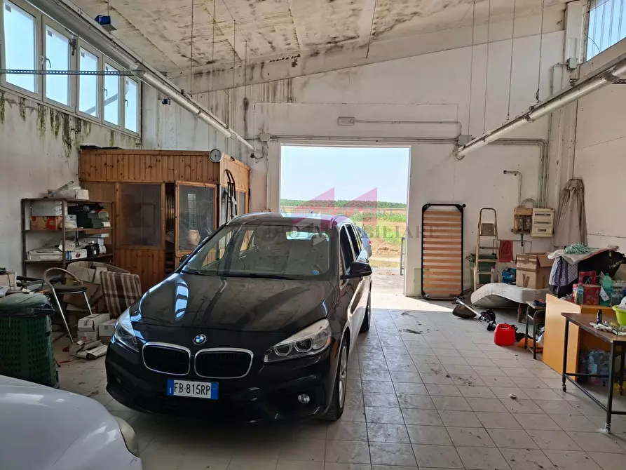 Immagine 3 di Laboratorio in vendita  a Bergantino