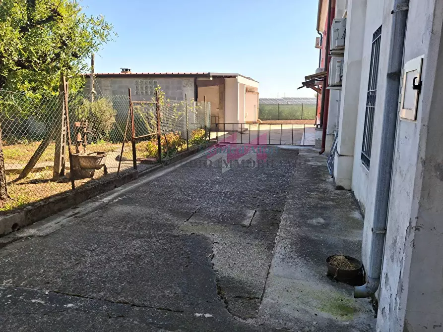 Immagine 42 di Casa semindipendente in vendita  a Serravalle A Po