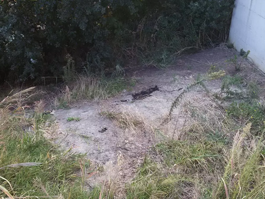 Immagine 12 di Casa semindipendente in vendita  in Via Sigismondo Damiani a San Benedetto Del Tronto