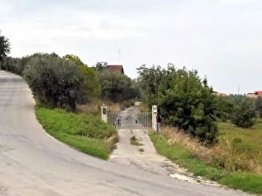 Immagine 1 di Terreno residenziale in vendita  a Tortoreto