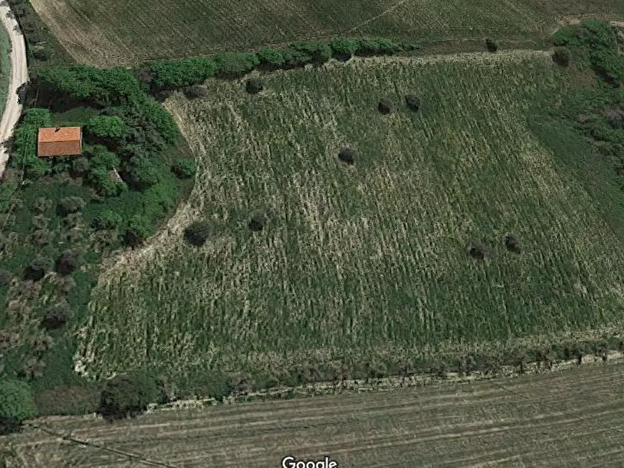 Immagine 3 di Casa indipendente in vendita  in San Savino a Ripatransone