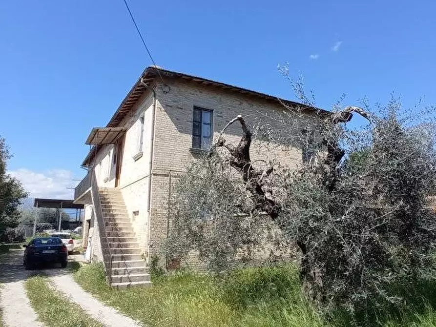 Immagine 3 di Casa indipendente in vendita  in Via San Michele a Spinetoli