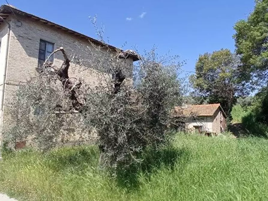 Immagine 10 di Casa indipendente in vendita  in Via San Michele a Spinetoli