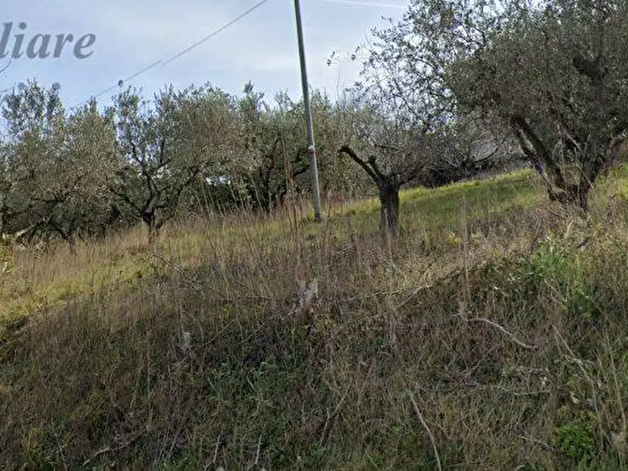 Immagine 3 di Terreno residenziale in vendita  in Via Colle Sant'Angelo a Monteprandone