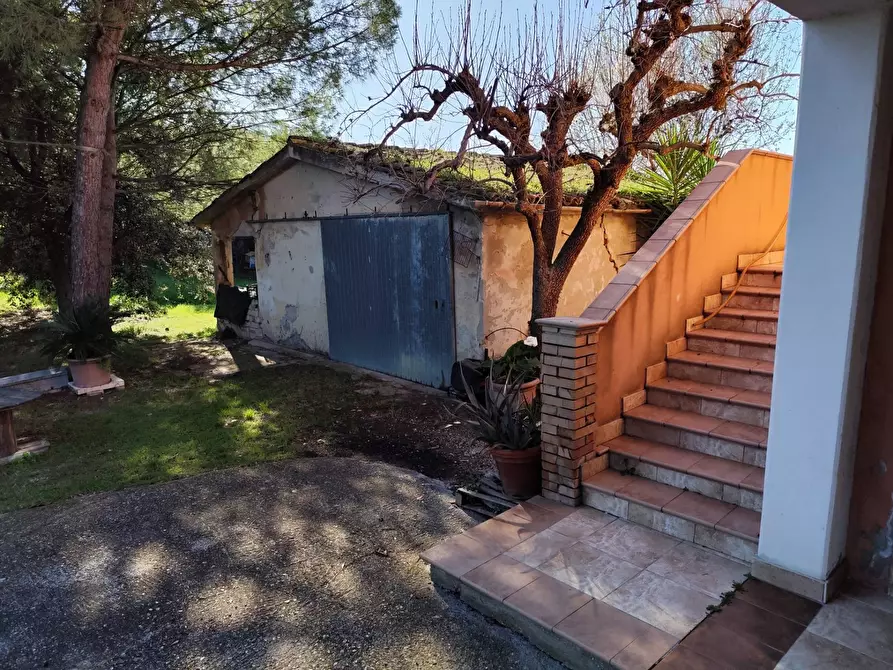 Immagine 3 di Casa indipendente in vendita  a Monsampolo Del Tronto