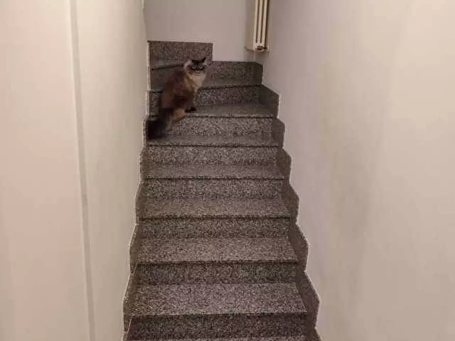 Immagine 41 di Casa indipendente in vendita  in Via Aspromonte a San Benedetto Del Tronto