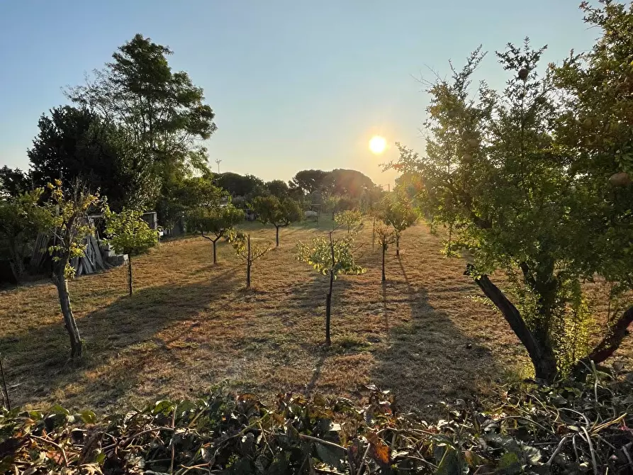 Immagine 1 di Terreno agricolo in vendita  in Via Del Cortivo a Cavallino-Treporti